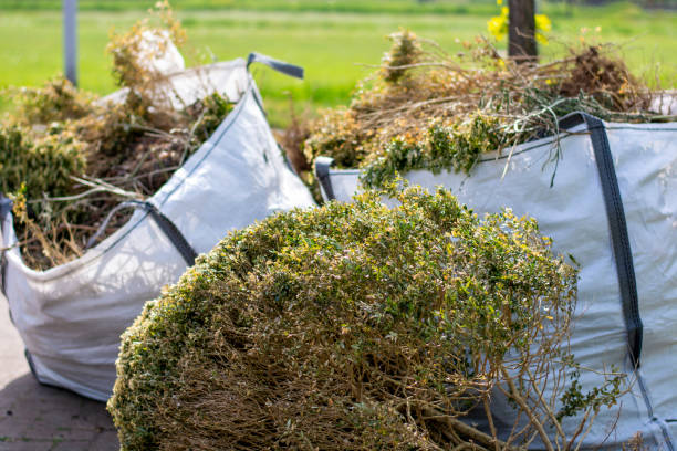 Best Junk Removal Near Me  in Trappe, PA